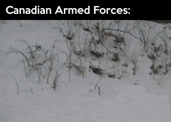 funny-gif-Canada-different-armed-forces